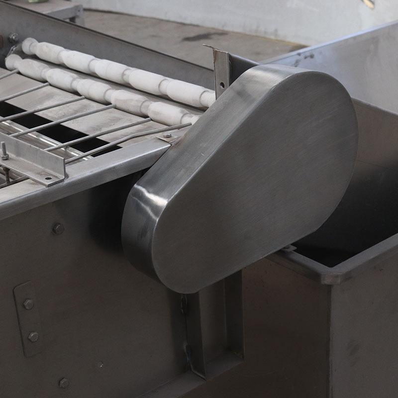 蛋殼圖片/蛋殼樣板圖 (1)