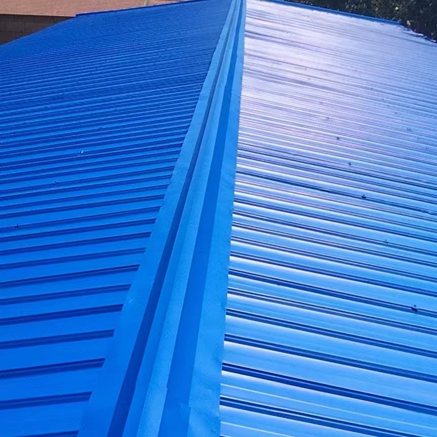 彩鋼翻新圖片/彩鋼翻新樣板圖 (2)