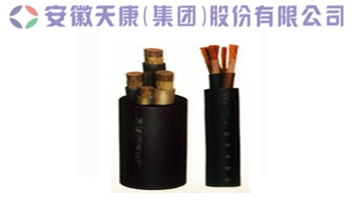 天康集團(tuán)硅橡膠軟芯電纜廠家圖片/天康集團(tuán)硅橡膠軟芯電纜廠家樣板圖 (2)