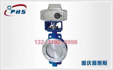 偏心蝶閥圖片/偏心蝶閥樣板圖 (4)