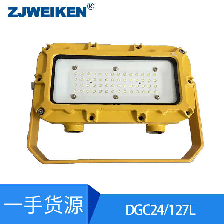 DGC80W/127L支架燈圖片/DGC80W/127L支架燈樣板圖 (2)