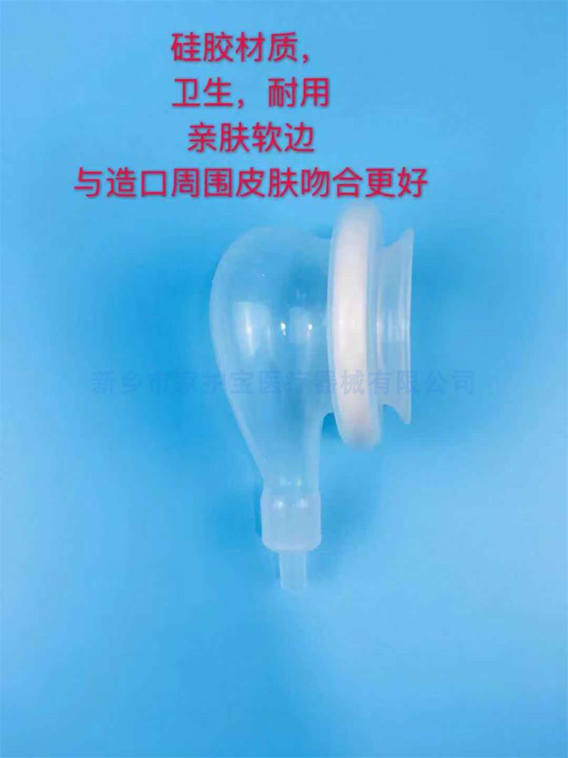 膀胱圖片/膀胱樣板圖 (3)