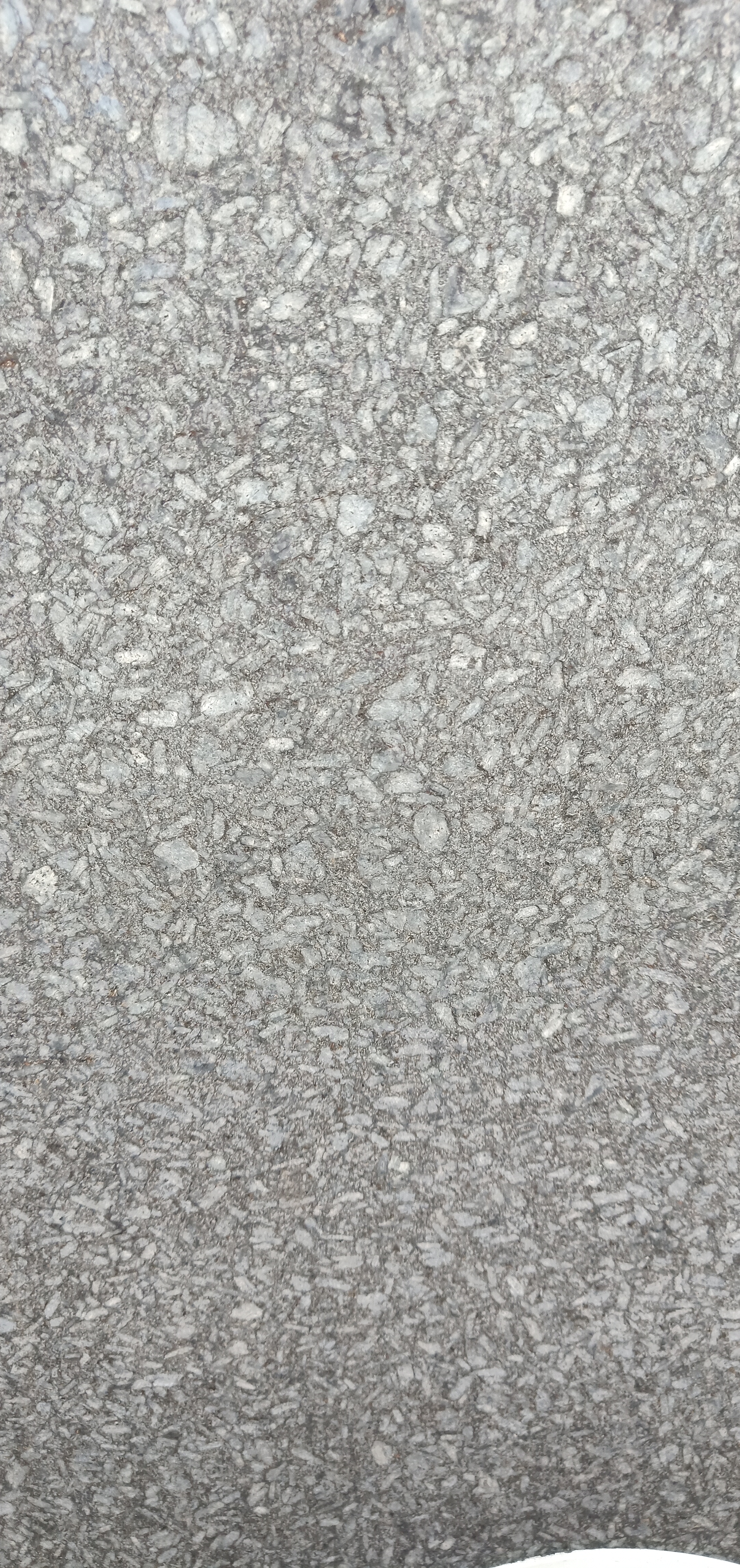 世紀(jì)銀圖片/世紀(jì)銀樣板圖 (1)