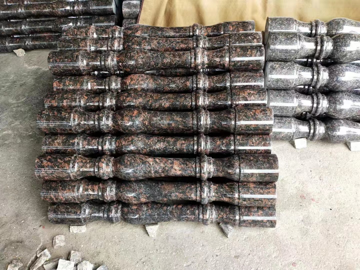 英國(guó)棕圖片/英國(guó)棕樣板圖 (3)