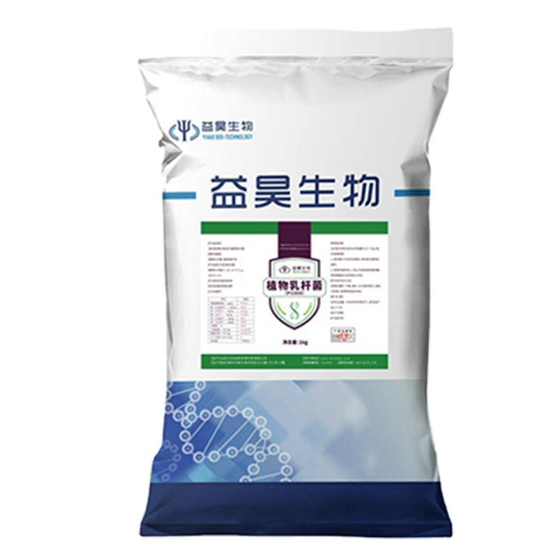 植物乳桿菌圖片/植物乳桿菌樣板圖 (2)