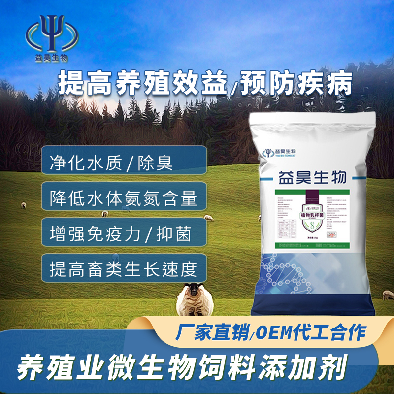 植物乳桿菌圖片/植物乳桿菌樣板圖 (3)