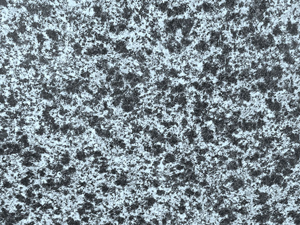 森林綠光面圖片/森林綠光面樣板圖 (2)