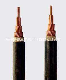 屏蔽軟電纜圖片/屏蔽軟電纜樣板圖 (2)