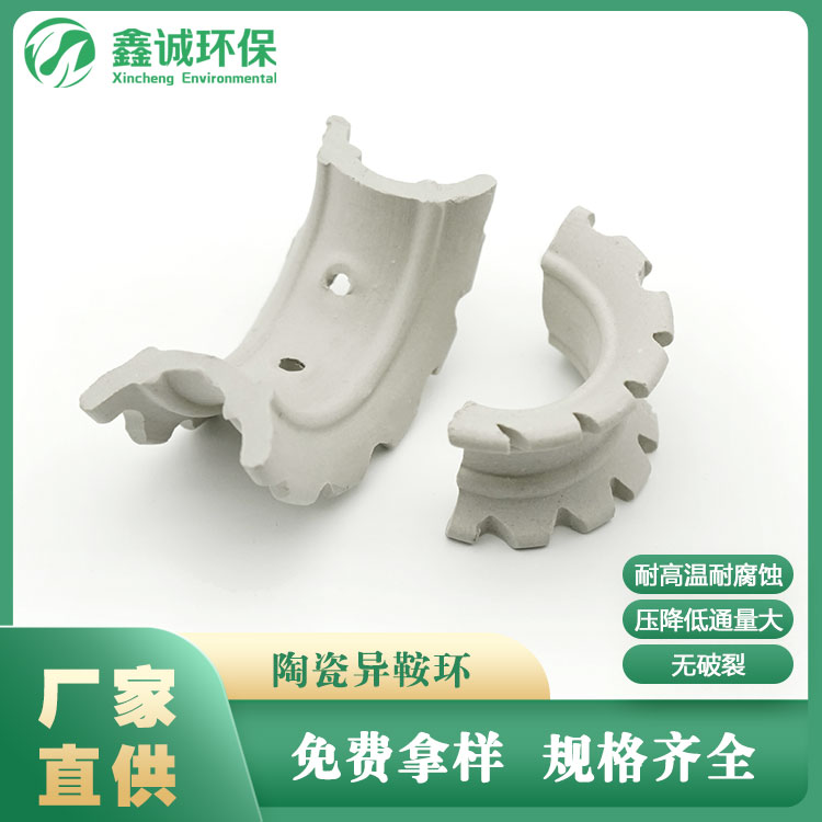 陶瓷異鞍環(huán)圖片/陶瓷異鞍環(huán)樣板圖 (1)