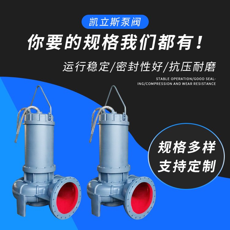 潛水排污泵圖片/潛水排污泵樣板圖 (1)