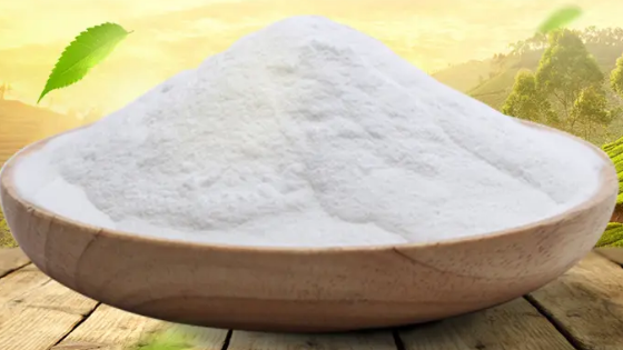 歐洲專線圖片/歐洲專線樣板圖 (2)