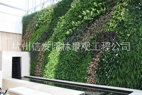 墻垂直綠化圖片/墻垂直綠化樣板圖 (3)