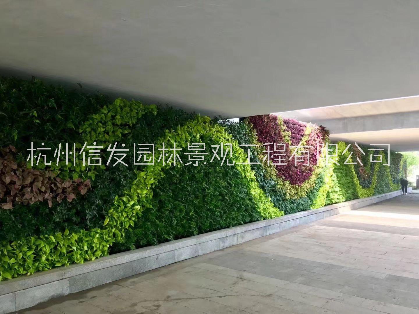 墻面垂直綠化圖片/墻面垂直綠化樣板圖 (2)