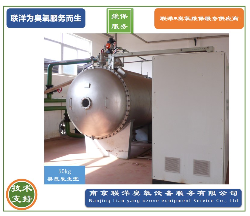 南京市L-KQ-100型养殖对虾臭氧灭厂家