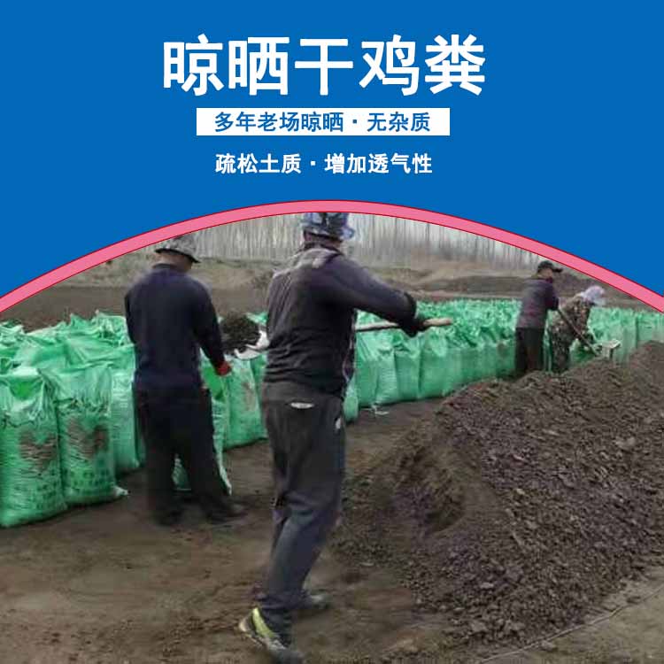 山東干雞糞圖片/山東干雞糞樣板圖 (2)
