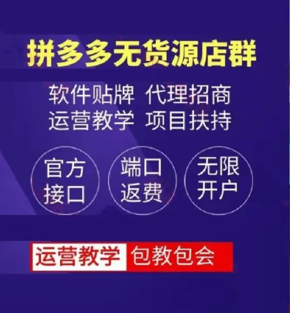 互联网项目网店创业加盟多少钱，拼多多网店运营培训+店群软件招商代理