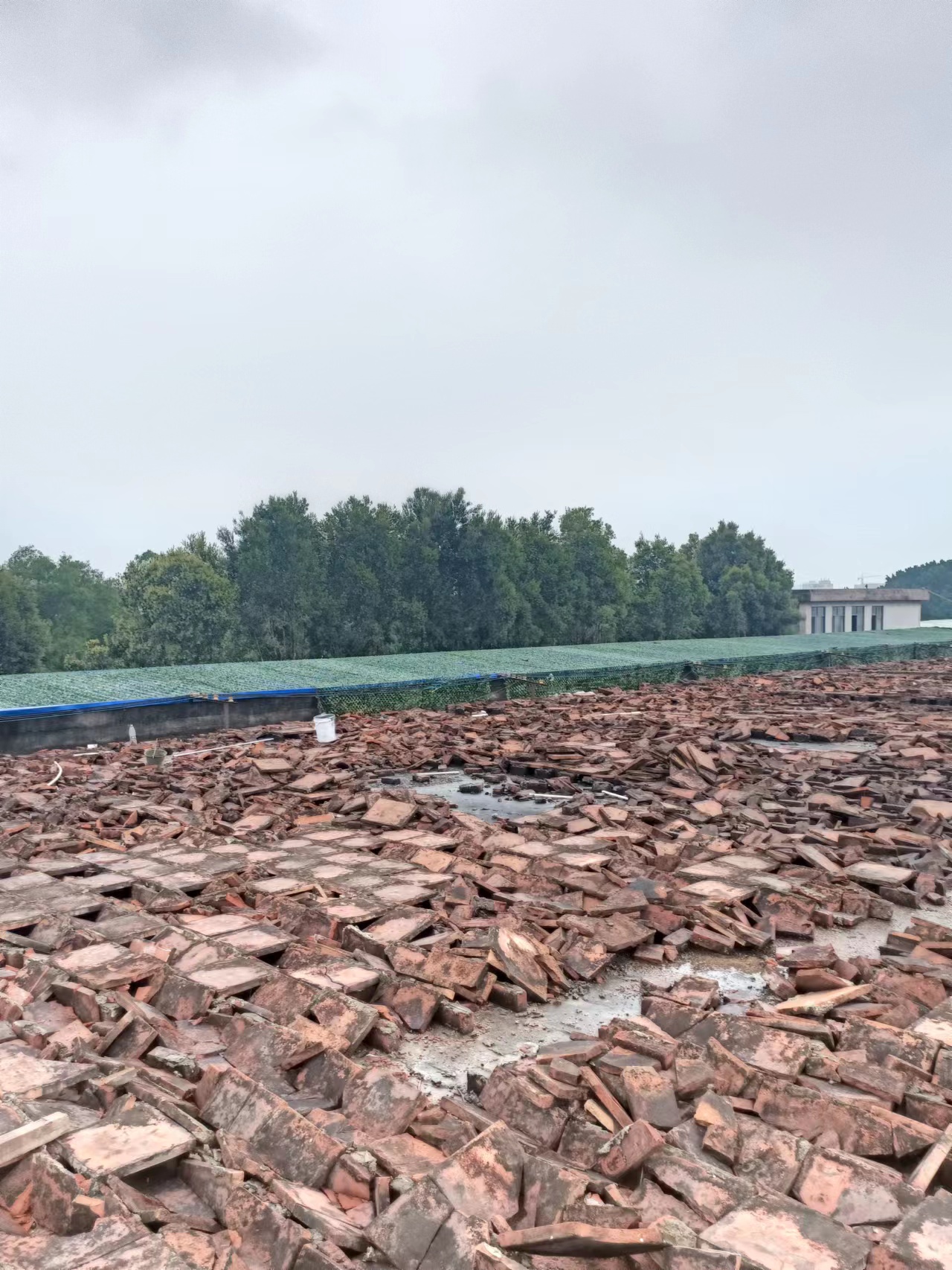 東莞石龍避雷圖片/東莞石龍避雷樣板圖 (4)