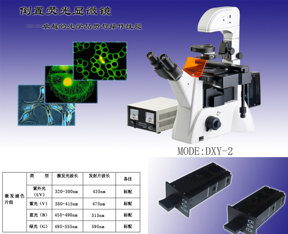 上海市倒置荧光生物显微镜DXY-2厂家