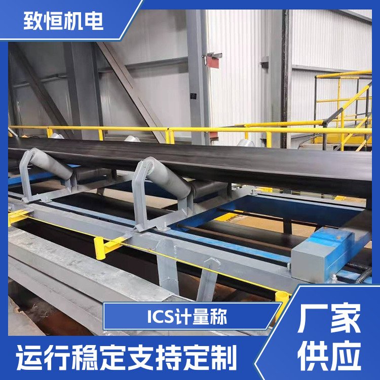 ICS計(jì)量稱圖片/ICS計(jì)量稱樣板圖 (3)