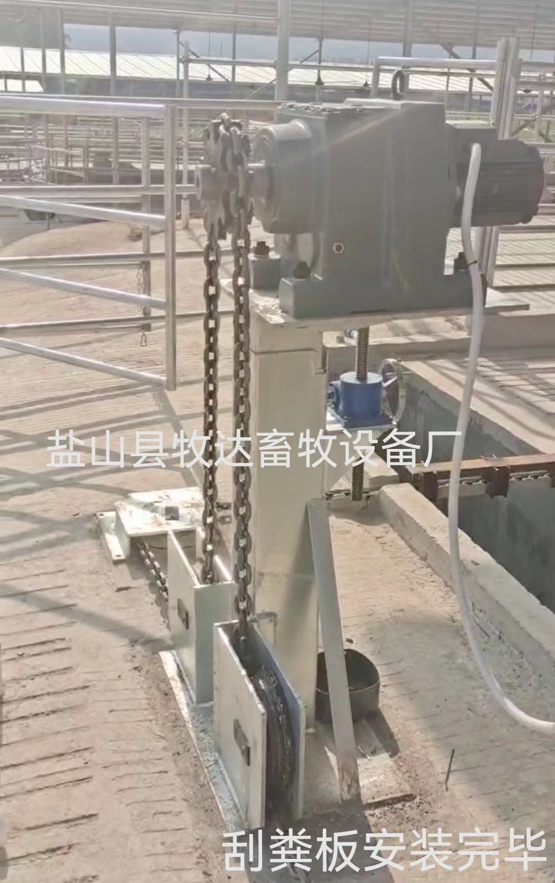 養(yǎng)牛場智能刮糞板|現(xiàn)代化牛場全自動刮糞機