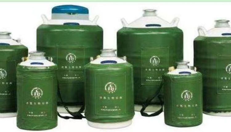 液氮罐圖片/液氮罐樣板圖 (2)