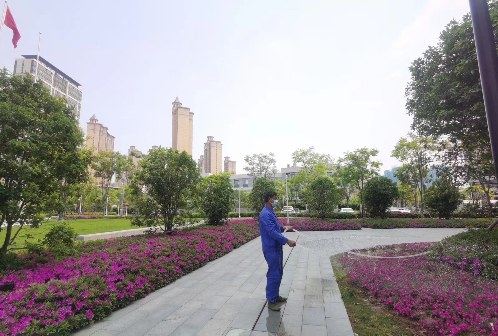 庭院立體綠化維護(hù)圖片/庭院立體綠化維護(hù)樣板圖 (4)