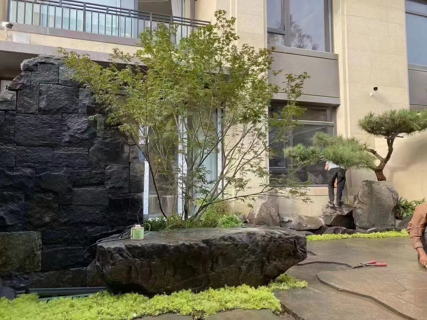 綠化維護(hù)圖片/綠化維護(hù)樣板圖 (4)