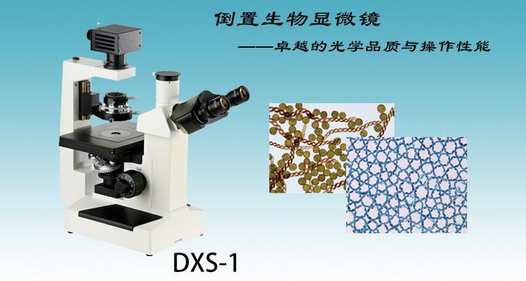 DXS-1倒置生物显微镜供应科研高校研究用倒置生物显微镜DXS-1可接电脑视频 DXS-1倒置生物显微镜