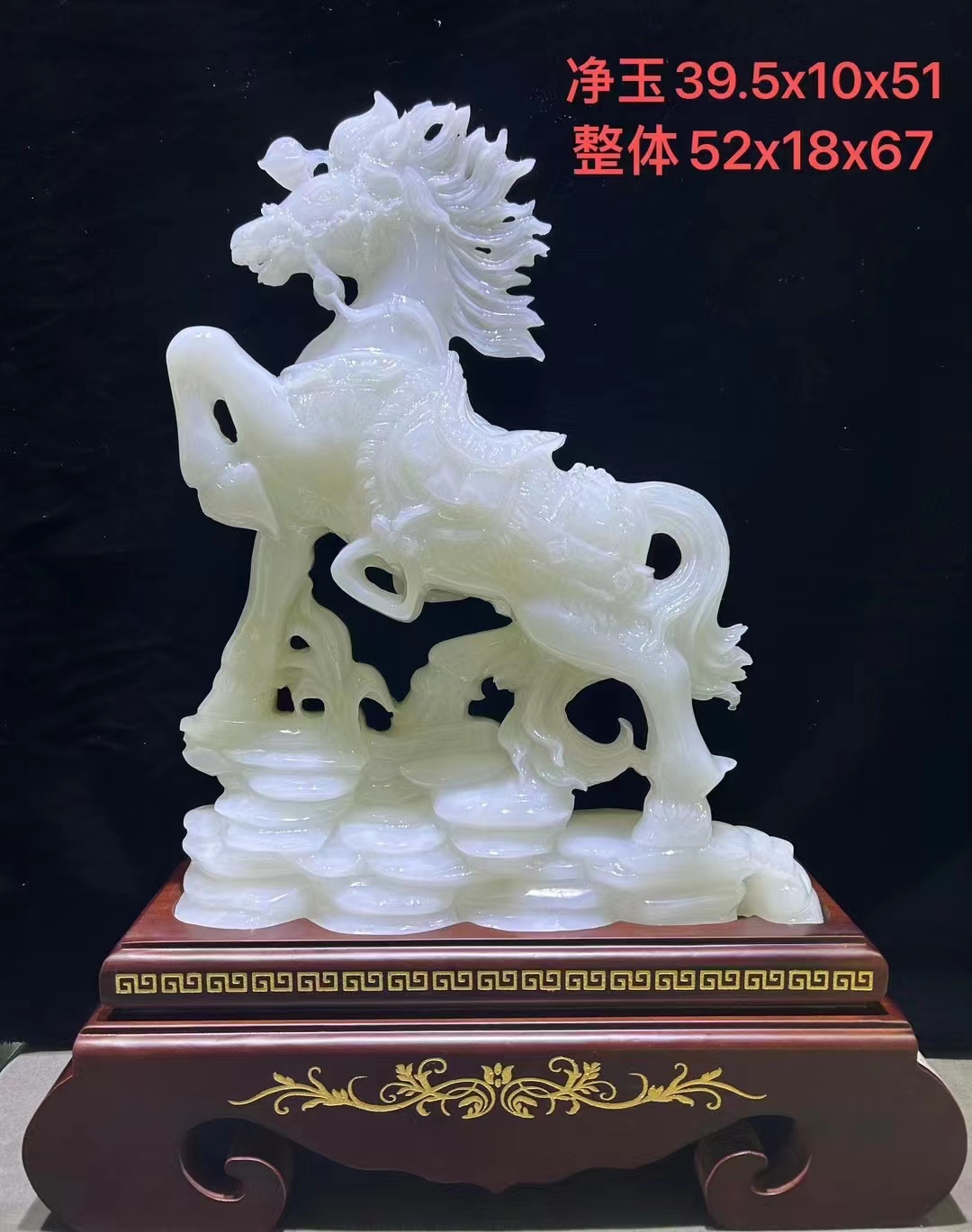 馬圖片/馬樣板圖 (2)