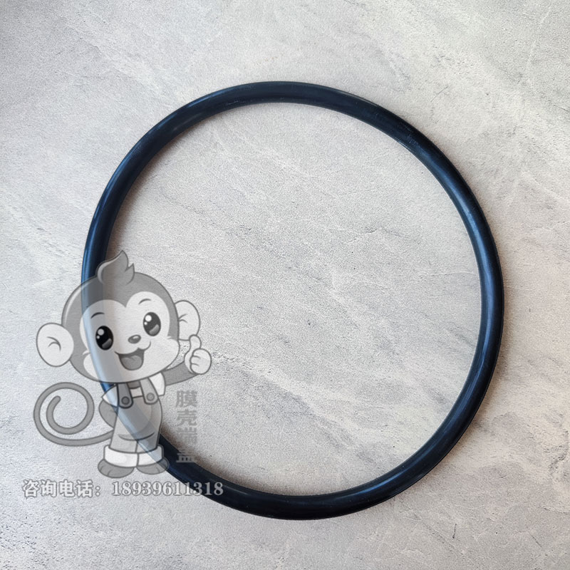 大密封圈圖片/大密封圈樣板圖 (1)