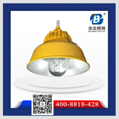 內(nèi)場防爆燈圖片/內(nèi)場防爆燈樣板圖 (4)