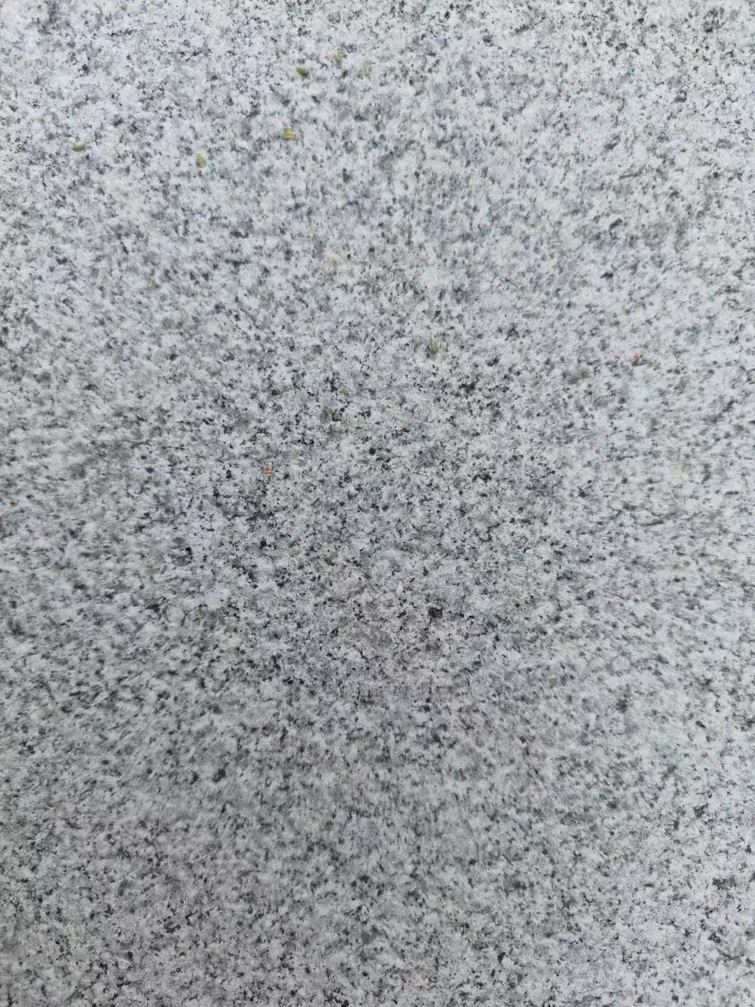 芝麻灰多少錢圖片