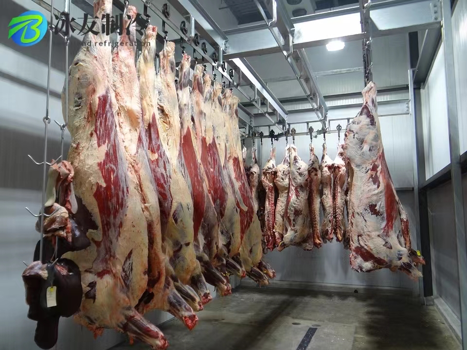 肉類排酸庫圖片/肉類排酸庫樣板圖 (1)