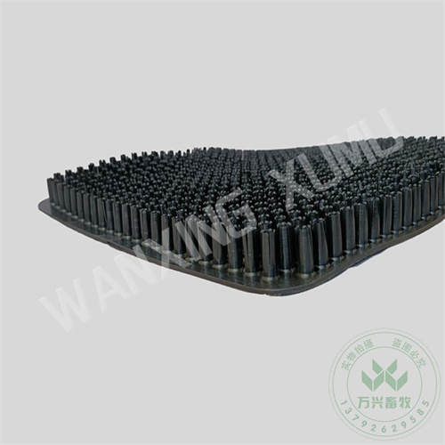 草墊子圖片/草墊子樣板圖 (4)