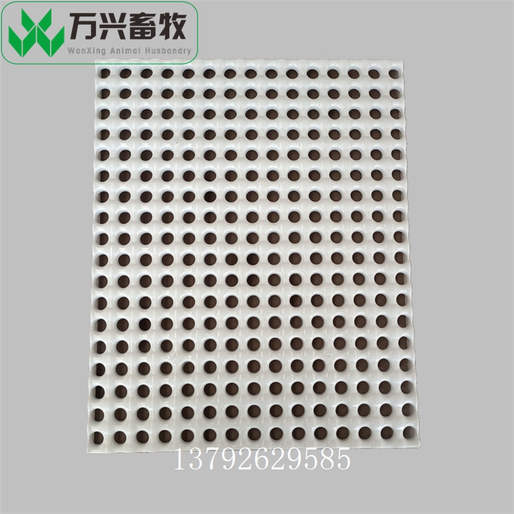 供應(yīng)萬(wàn)興畜牧兔用塑料漏糞板 規(guī)格600×600mm圖片/供應(yīng)萬(wàn)興畜牧兔用塑料漏糞板 規(guī)格600×600mm樣板圖 (1)