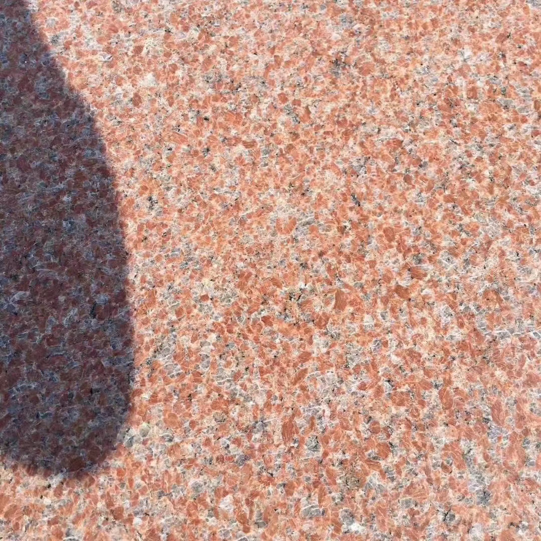 石島紅8號(hào)圖片/石島紅8號(hào)樣板圖 (4)