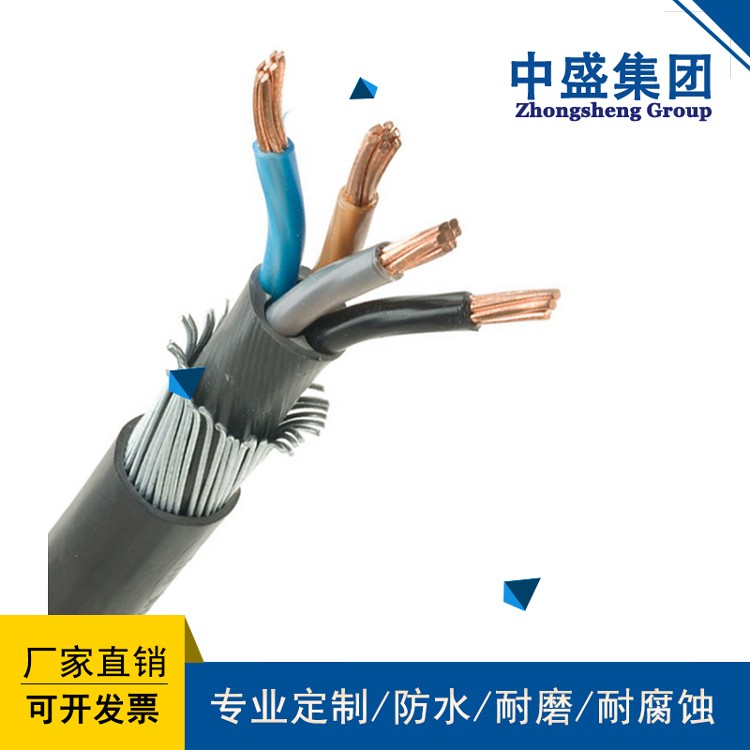 鎧裝計算機電纜圖片/鎧裝計算機電纜樣板圖 (2)