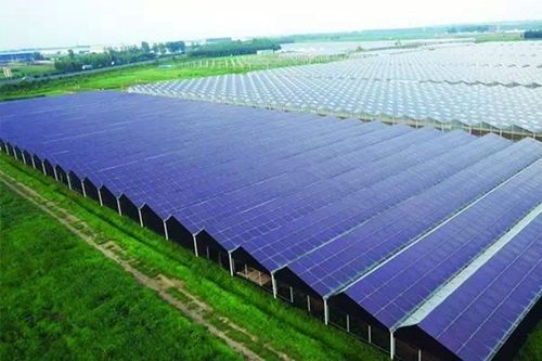 農光互補太陽能電站圖片/農光互補太陽能電站樣板圖 (2)