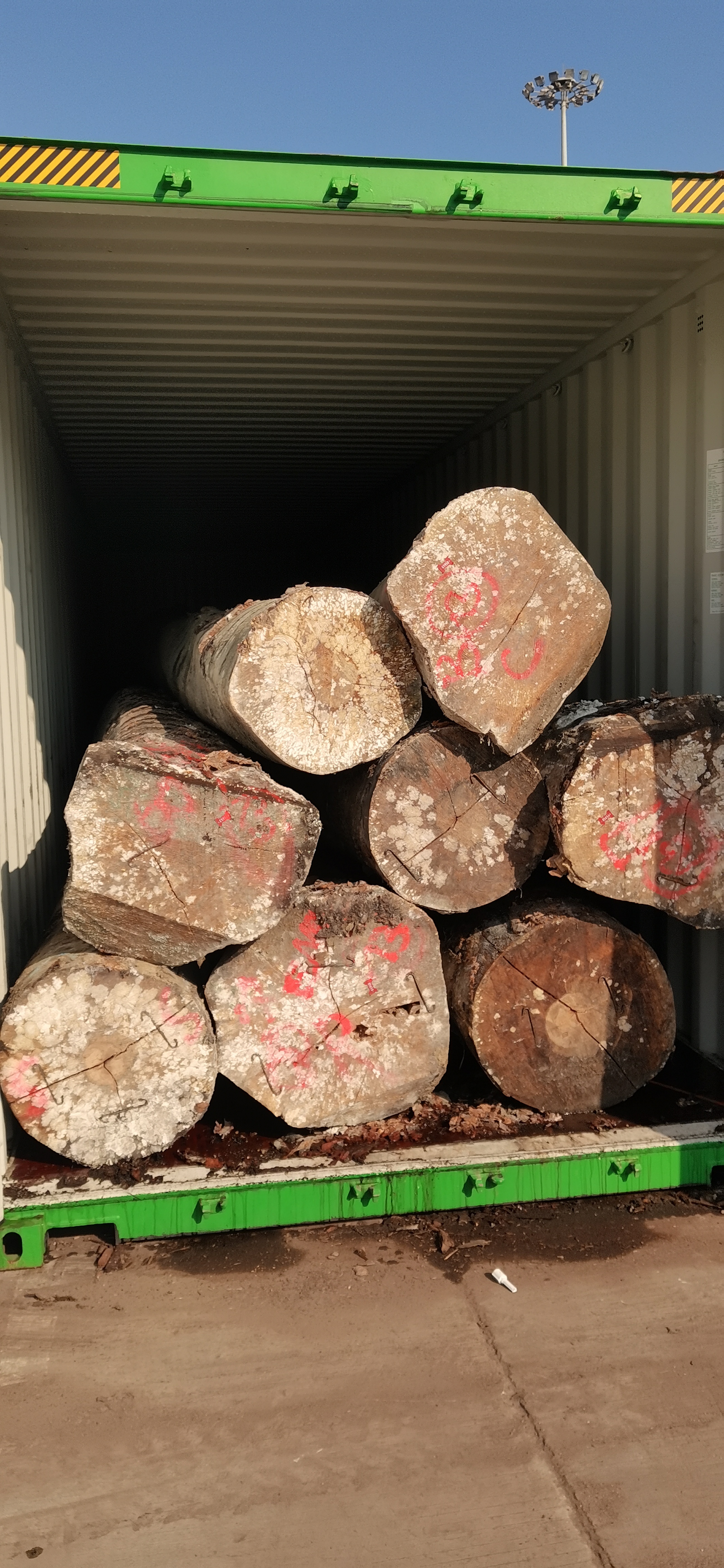 木材進口報關(guān)所需單證、清關(guān)流程及裝箱注意事項圖片/木材進口報關(guān)所需單證、清關(guān)流程及裝箱注意事項樣板圖 (3)