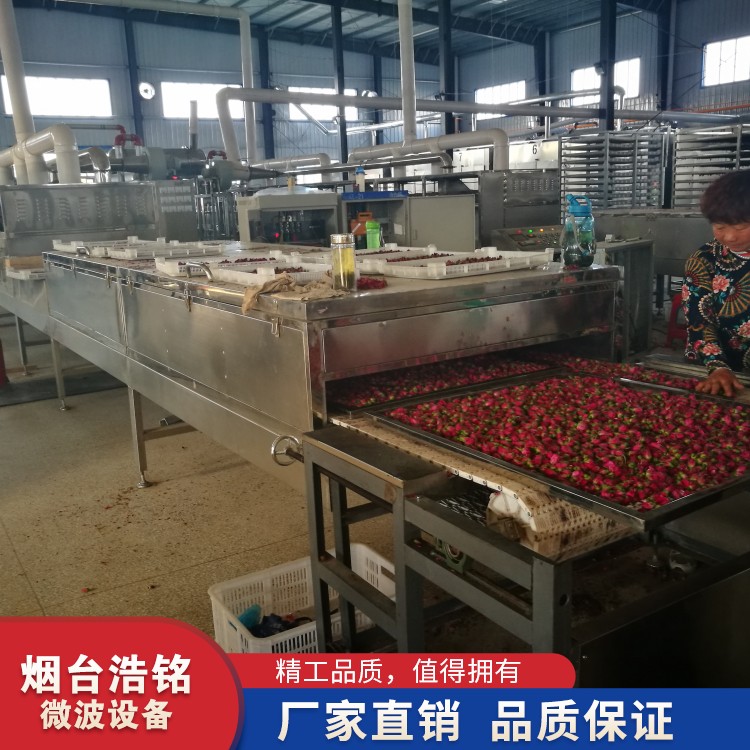 微波烘干脫水設(shè)備圖片/微波烘干脫水設(shè)備樣板圖 (2)