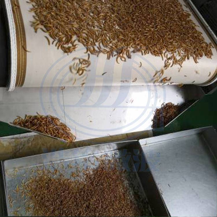 600斤微波熟化設備圖片/600斤微波熟化設備樣板圖 (2)