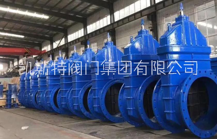 軟密封閘閥 Z41Y、Z43Y、Z41X、Z45X等 凱斯特閥門圖片/軟密封閘閥 Z41Y、Z43Y、Z41X、Z45X等 凱斯特閥門樣板圖 (1)