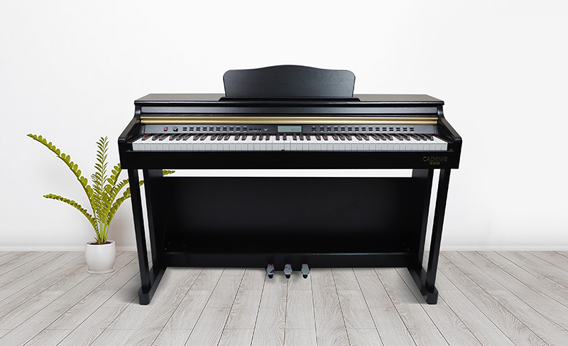 電鋼琴圖片/電鋼琴樣板圖 (2)