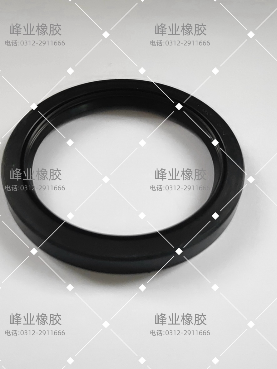 密封件骨架圖片/密封件骨架樣板圖 (4)