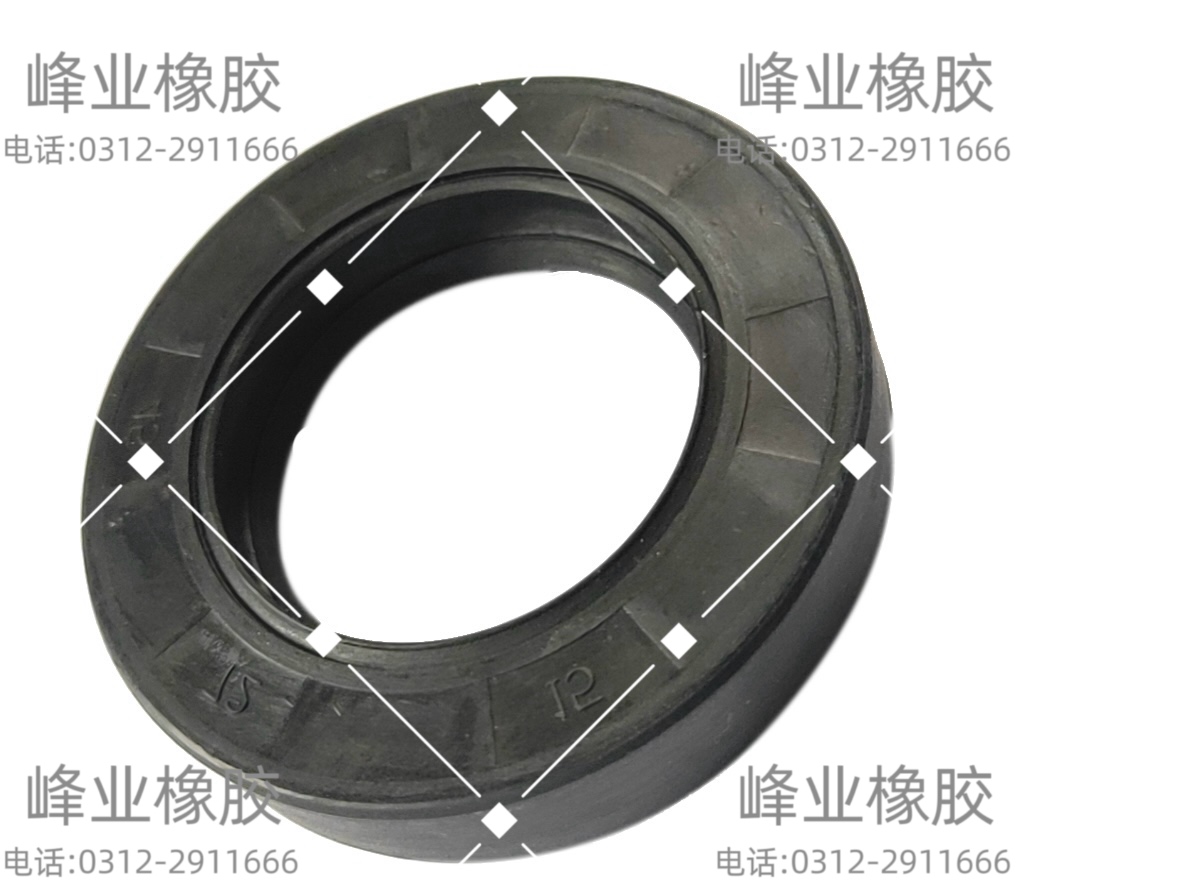 骨架油封耐高溫氟膠丁晴橡膠油封密封圈廠家直銷型號(hào)齊全可定制圖片/骨架油封耐高溫氟膠丁晴橡膠油封密封圈廠家直銷型號(hào)齊全可定制樣板圖 (4)