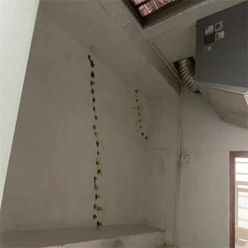 咨詢電話圖片/咨詢電話樣板圖 (1)