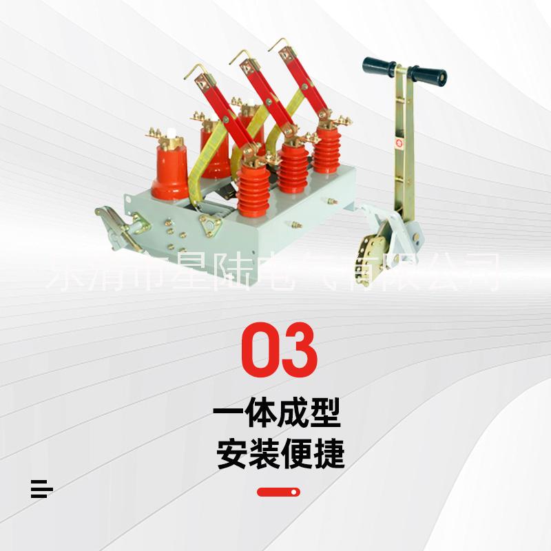 FN3-12R/400A戶內(nèi)高壓負(fù)荷開(kāi)關(guān) 10KV掛墻式負(fù)荷開(kāi)關(guān)圖片