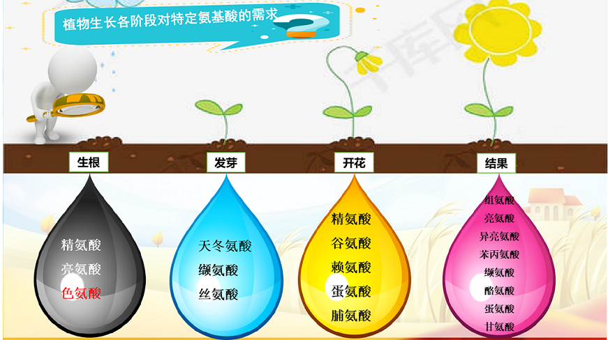 水解无氯氨基酸粉水解无氯氨基酸粉 H2SO4水解粉 游离的氨基酸含量高 复配性好 厂家直销无差价