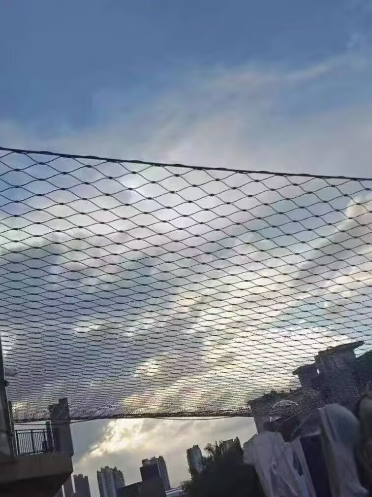 304不銹鋼防墜網(wǎng)A任丘不銹鋼防墜網(wǎng)專業(yè)生產(chǎn)廠家