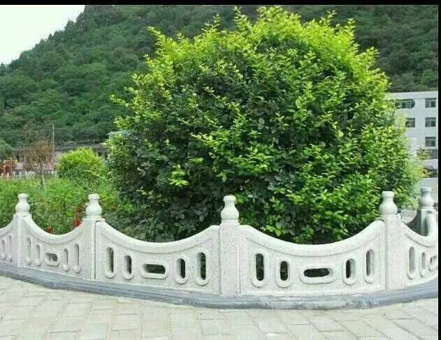 供應(yīng)草坪護欄